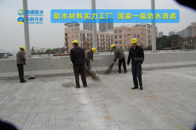 襄阳保康PBL-I聚合物道桥防水涂料市场价格解析与选购指南