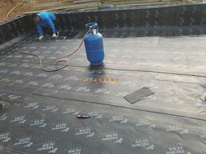 烟台防水工程、材料与维修全解析 构建坚固防线的关键